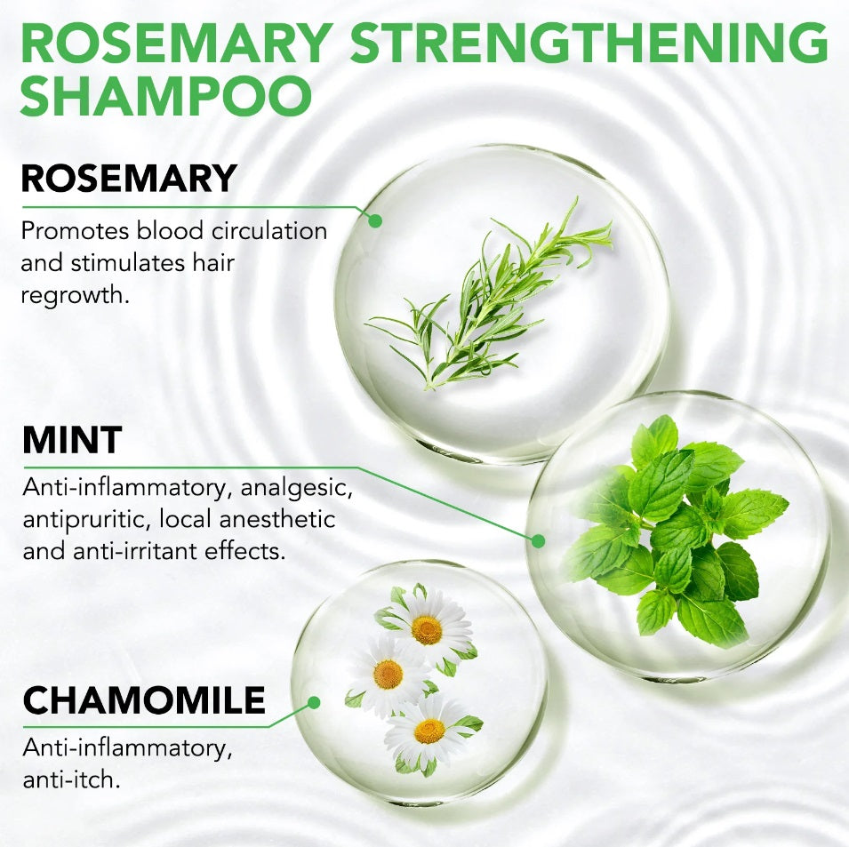 Aliver Rosemary Shampoo With Infused Biotin & Castor Oil Hair Growth Treatment