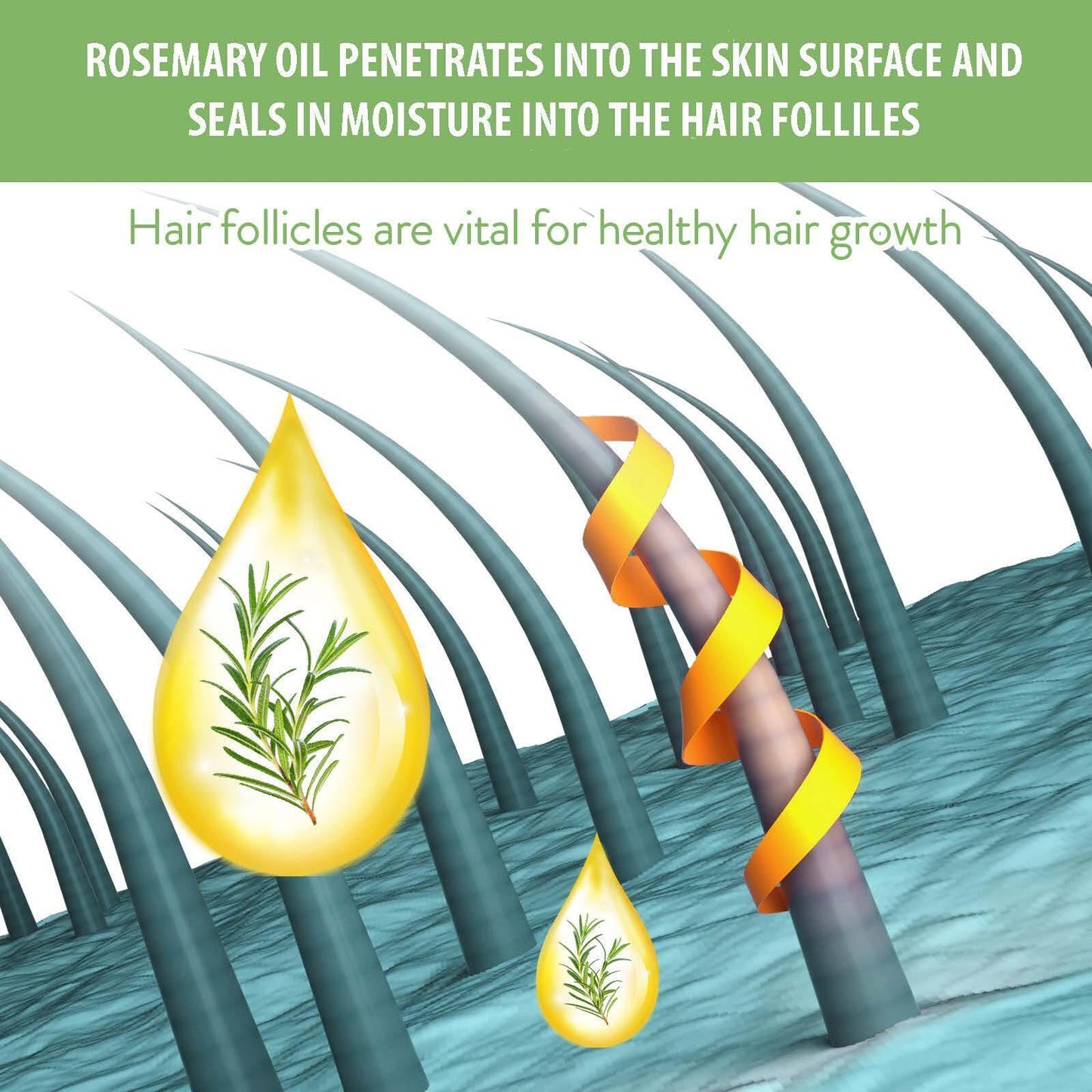 Aliver Rosemary Oil For Hair Growth - Strengthen, Nourish & Prevent Hair Loss