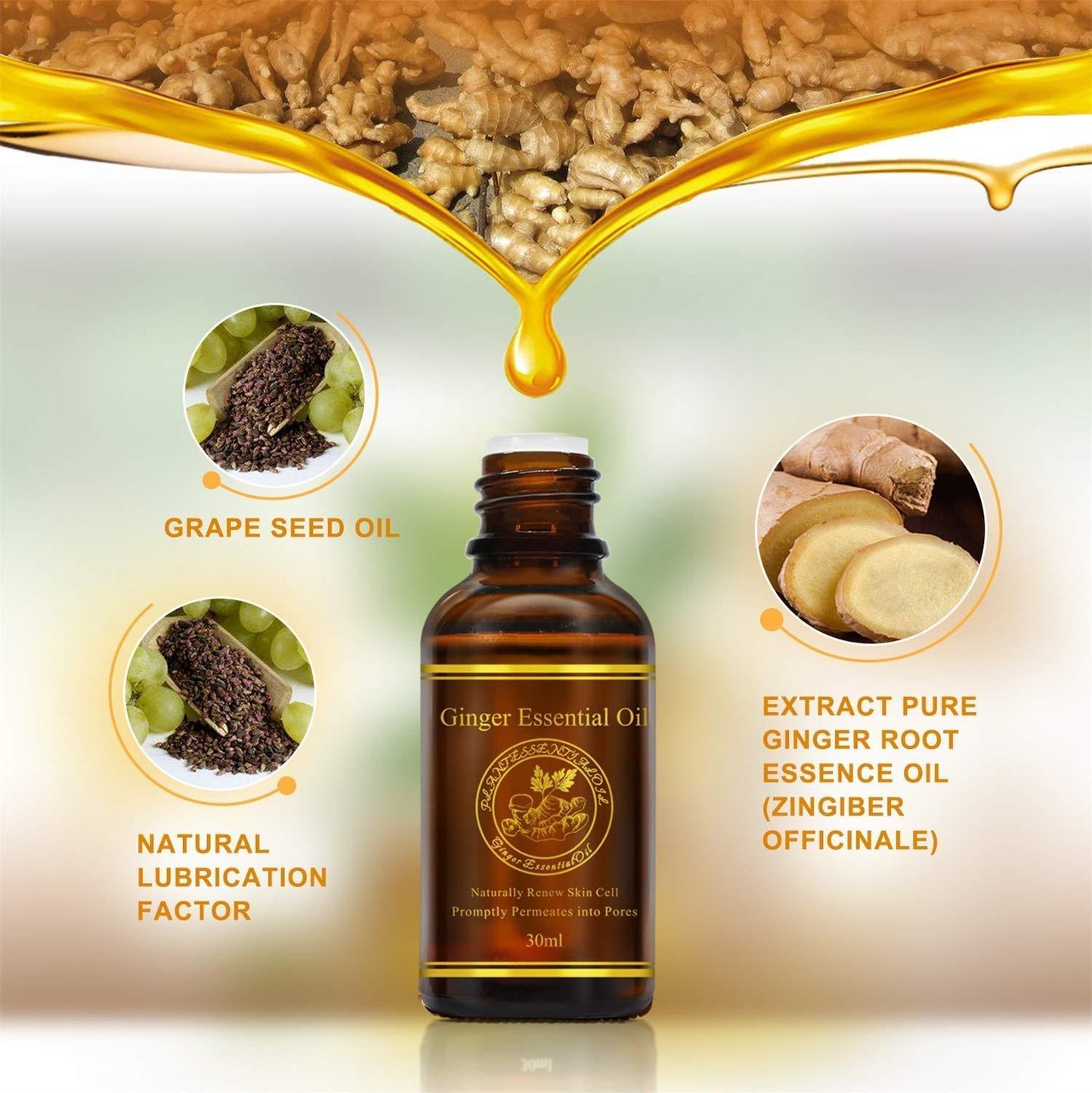 Aliver Ginger Essential Oil