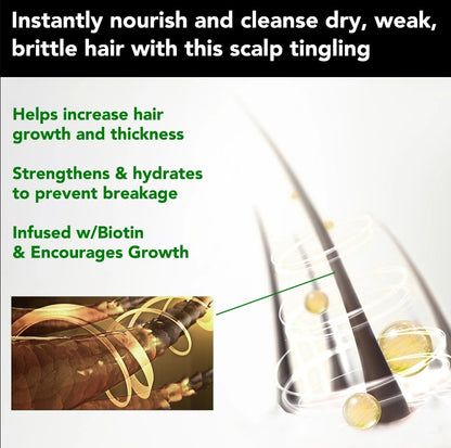Aliver Jamaican Black Castor Oil Shampoo